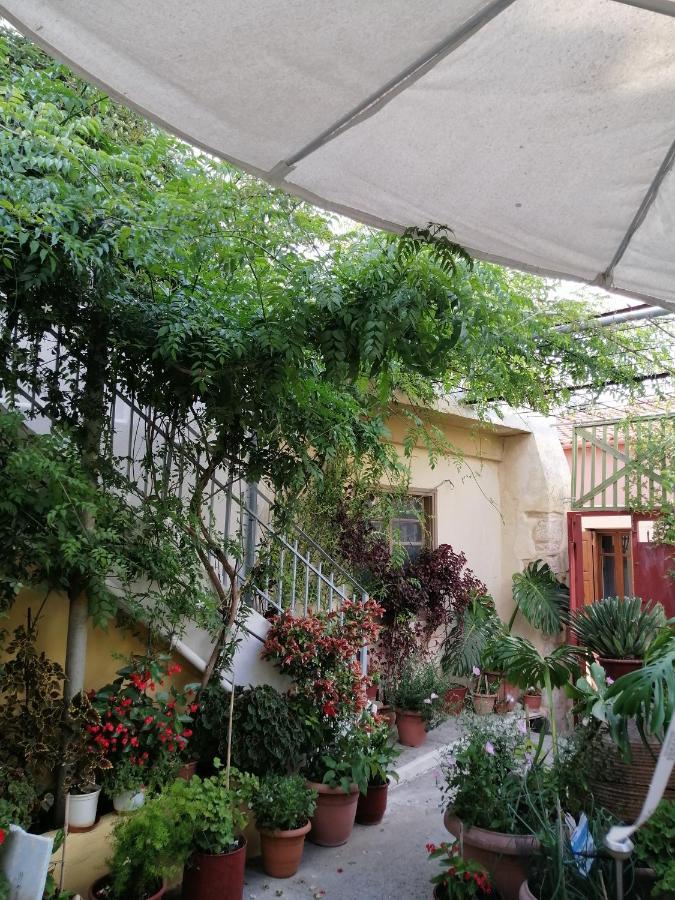 "Eirini" Traditional House Creta Archanes, Αρχάνες Σπίτι Extérieur photo